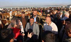 Kars Hayvan Pazarı’nda sıkı denetim: Hayvan hareketliliğine sağlık ve güvenlik filtresi