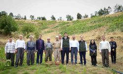 Şemdinli’de üzüm hasadı başladı