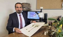 Muş’ta yetişen yeni bitki türü keşfedildi