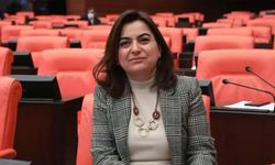 Gülistan Kılıç Koçyiğit Meclis izleme komisyonu için 1 Ekim’i işaret etti