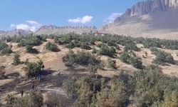 Beytüşşebap’ta orman yangını: Ekipler alevlerle mücadele ediyor