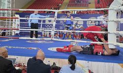 Vanlı sporcu Furkan Bilici altın madalya kazandı