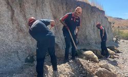 Toprak kaymasında 6 küçükbaş hayvan telef oldu
