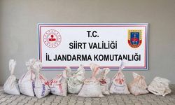 Siirt’te 300 kilo fıstık çalan hırsızlar fabrikada suçüstü yakalandı