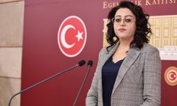 Hakkari'nin sorunları meclis gündeminde: İşsizlikten Madenlere, Güvenlikten Ormanlara..