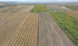 Kars’ta tarım arazileri havadan görüntülendi: Tarlalar halı ve kilim desenlerini aratmadı