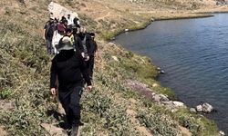 Yüksekova’nın 3 Bin 500 Rakımlık Zirvesinde Doğa Buluşması
