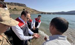 Şırnak’ta Ilısu Baraj Gölü’ne 800 bin yavru şabut balığı bırakıldı