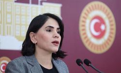 DEM Partili Aslan: Meclis fon soruşturması gündemiyle açılmalı