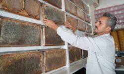 Muş’ta bal hasadı tamamlandı: 700 ton bal elde edildi
