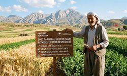 Yüksekova’da 2027 tarımsal üretim planı belli oldu