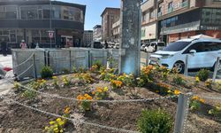 Yüksekova’da Özgürlük Meydanı Yeniden Konteynerlere Kaldı