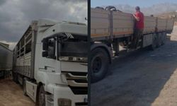 Yüksekova'da Hayvan Sevklerine Sıkı Takip