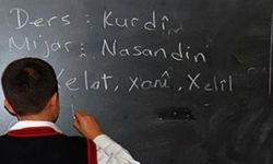 DEM Parti Hakkâri İl Örgütü, yeni eğitim yılı öncesi anadil çağrısı