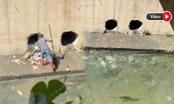 Yüksekova’da temizlenen çöpler yeniden Büyükçay Deresi’ne atıldı