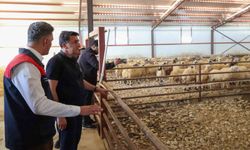 Tunceli’de kırsal kalkınma destekleri üreticiye güç veriyor