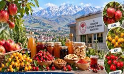 Yüksekova’nın doğal ürünleri ekonomiye kazandırılacak