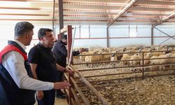Tunceli’de kırsal kalkınma destekleri üreticiye güç veriyorÜÜ