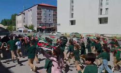 Ağrı’da "Uçurtmalar Vurulmasın, Gökyüzü Çocuklara Kalsın" etkinliği düzenlendi