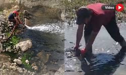 Yüksekova’da Kuruyan Derelere Müdahale: Balıklar Yeniden Suya Kavuştu