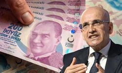 Bakan Şimşek'ten yüzlerce kişi ve şirkete çağrı