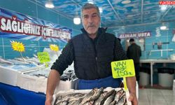 Van’da tezgahlar çeşitlendi: Tüketicinin tercihi Van Gölü’nün incisi oldu