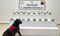 Başkale’de 10 kilo toz esrar ele geçirildi