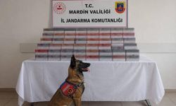 Mardin’de 8 milyon lira değerinde kaçak ürün ele geçirildi