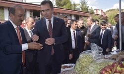 Hizan Karakovan Balı Hasadı Festivali başladı