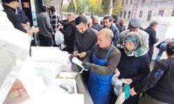 Kars’ta palamut yoğunluğu: Tanesi 50 liradan satıldı, balıkçılarda kuyruk oluştu