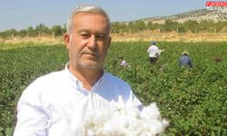 Araban ÇUKOBİRLİK 2026-2027 yılı pamuk alım fiyatlarını açıkladı
