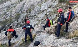 Tunceli’de sarp kayalıklarda mahsur kalan keçiler kurtarıldı