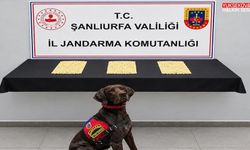 Şanlıurfa’da 2 bin 970 Captagon hap ele geçirildi