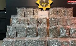 Yolcu otobüsünde 16 kilo 400 gram skunk ele geçirildi