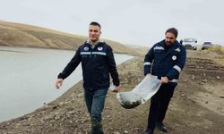 Van’ın su ürünleri sektöründen ekonomiye 25 milyon dolarlık katkı