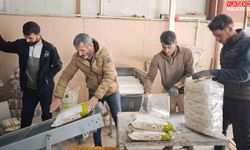 Bitlis, tohumluk kuru fasulye üretiminde Türkiye birincisi