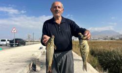Van’da amatör balıkçıların aynalı sazan mesaisi
