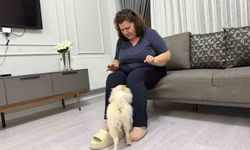 Aydın’dan alınan köpek Mardinli ailenin kabusu oldu