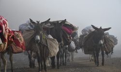 Soğuk etkisini gösterdi, Şırnak’ta göçerler yayladan ayrılmaya başladı