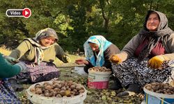 Şehirden köye uzanan gelenek: Kadınlar yıllardır bu geleneği sürdürüyor