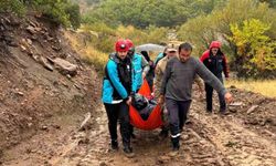 Yağış nedeniyle köyde mahsur kalan hastaya ekipler ulaştı