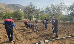 Tunceli’de 70 yaşındaki Şehriban teyzenin yardımına ekipler yetişti