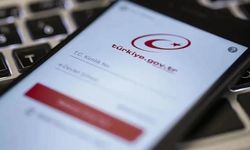 Küresel PHP açığına karşı hızlı önlem: E-Devlet'te güvenlik kontrolü tamamlandı
