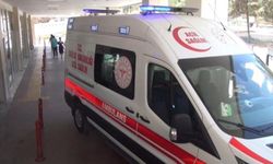 Şanlıurfa’da yaprak sarması 12 öğrenciyi hastanelik etti