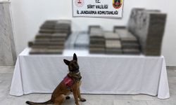 Siirt’te 10 bin 250 paket kaçak sigara ele geçirildi