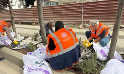 Hakkari’de tepki çeken dekoratif taşlar toplatılıyor