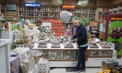 Muş’ta havalar soğudu, aktarlarda yoğunluk arttı