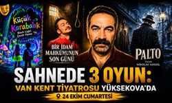 SAHNEDE 3 OYUN: VAN KENT TİYATROSU YÜKSEKOVA'DA