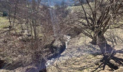 Tunceli’de heyelan tedbirleri: 19 konuttan 7’si boşaltıldı