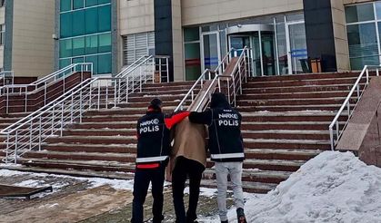 Kars’ta uyuşturucu operasyonu: 6 kilo bonzai üretimi engellendi